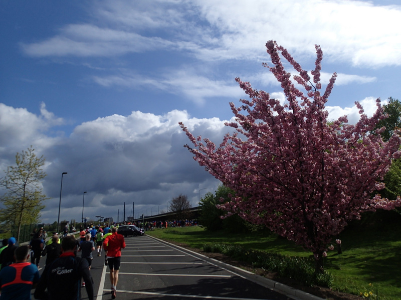 Dsseldorf Marathon 2016