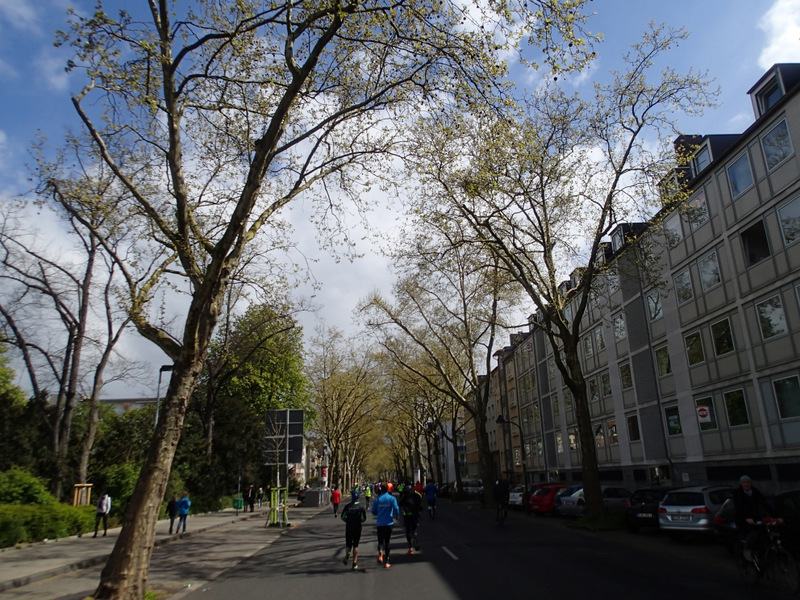 Dsseldorf Marathon 2016