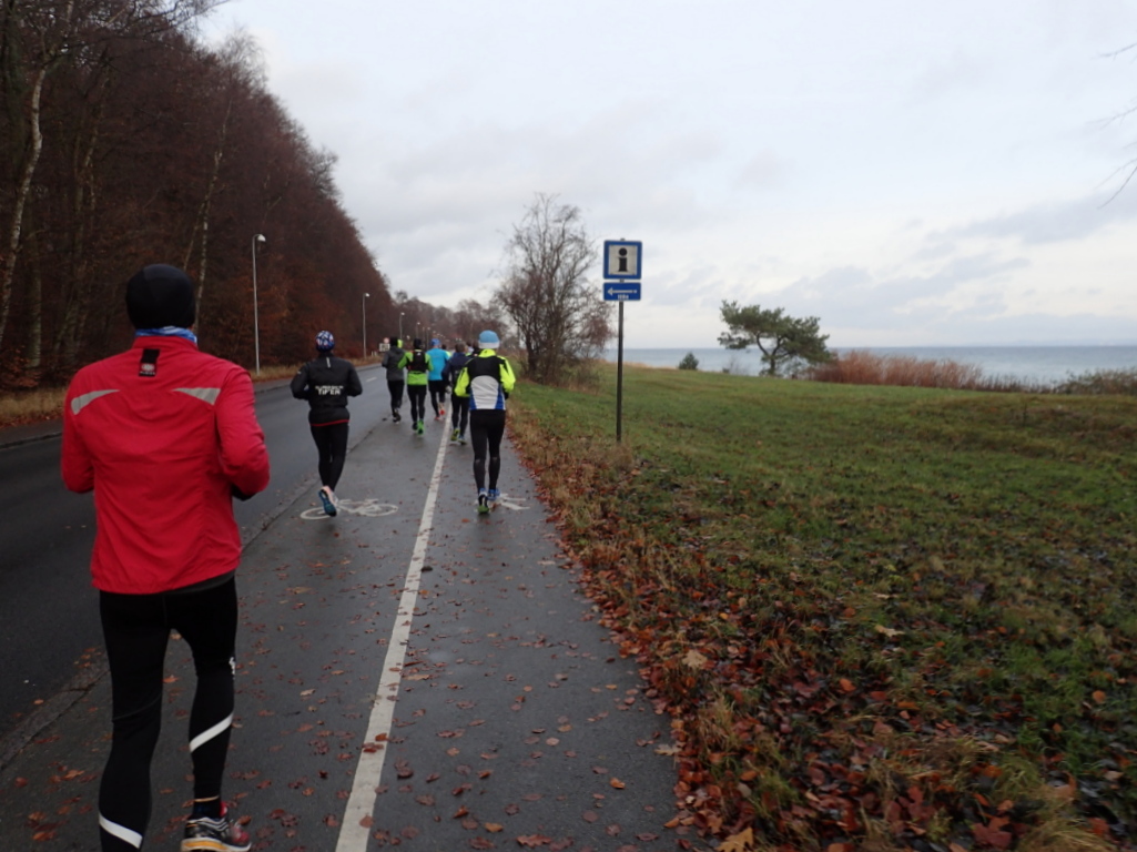 Holger Danske Strandvejs Marathon 2016 - Tor Rnnow