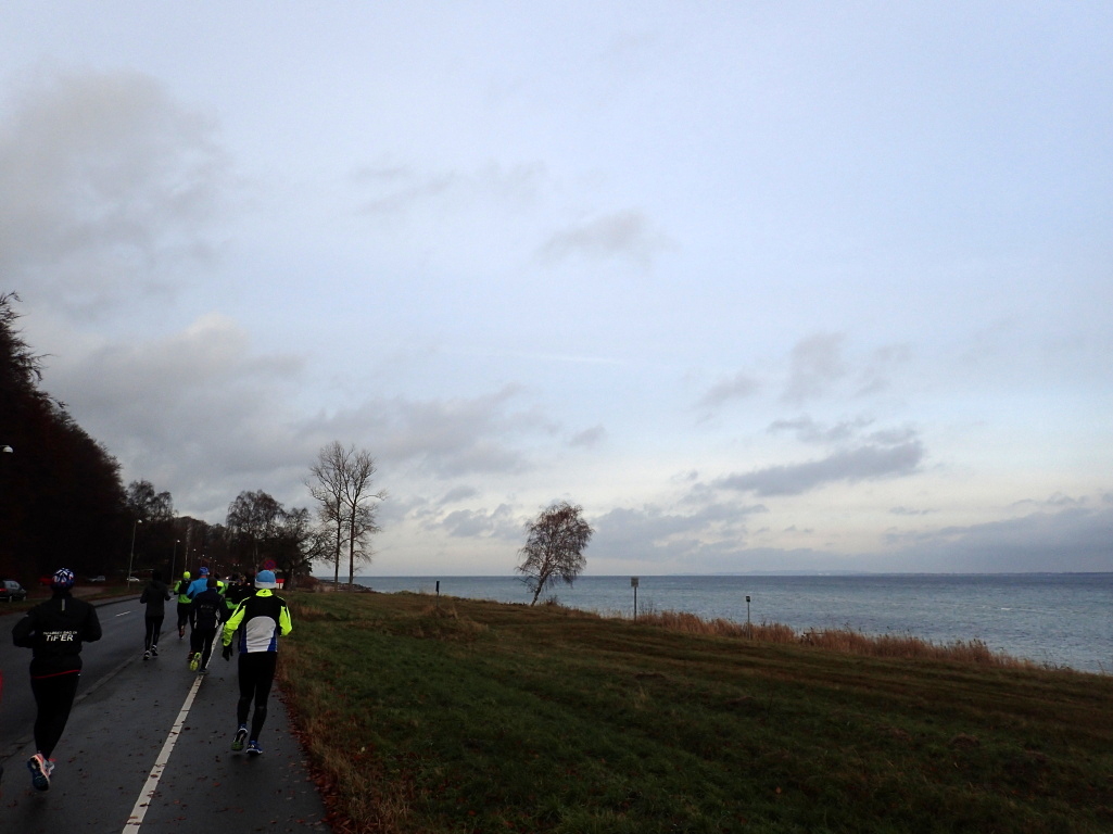 Holger Danske Strandvejs Marathon 2016 - Tor Rnnow