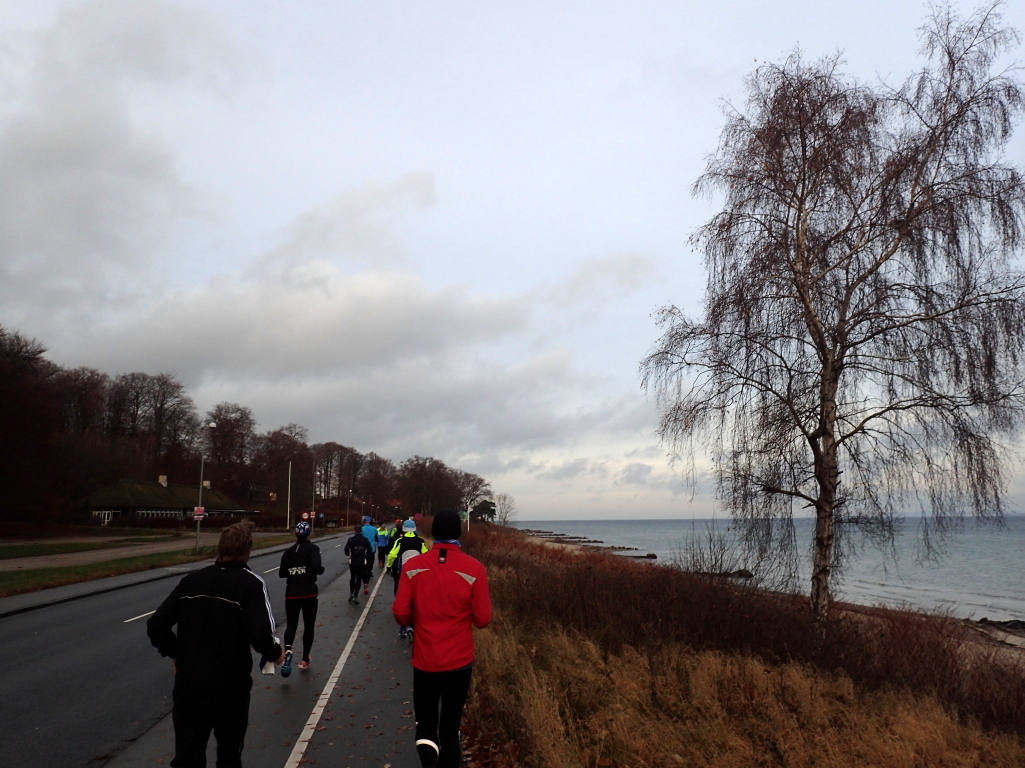 Holger Danske Strandvejs Marathon 2016 - Tor Rnnow