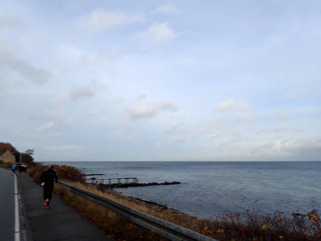 Holger Danske Strandvejs Marathon 2016 - Tor Rnnow