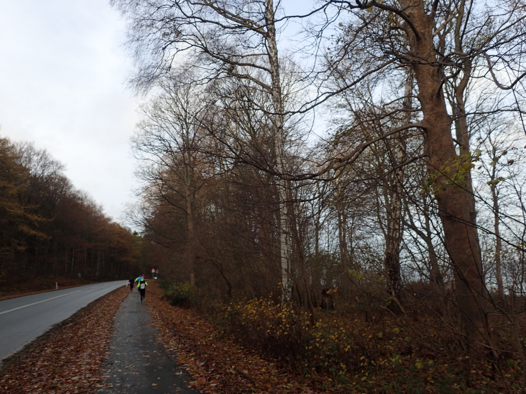 Holger Danske Strandvejs Marathon 2016 - Tor Rnnow