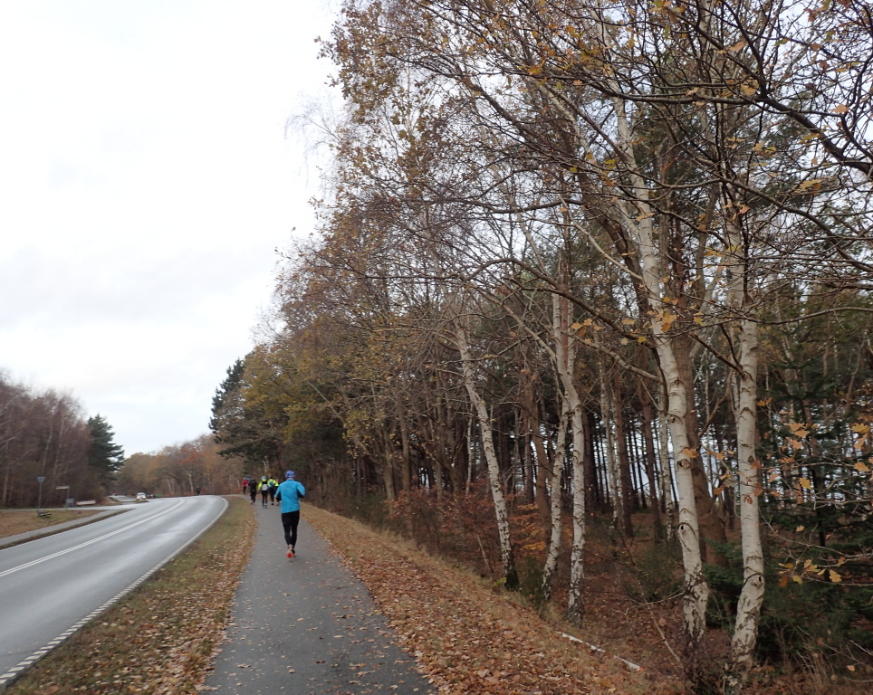 Holger Danske Strandvejs Marathon 2016 - Tor Rnnow