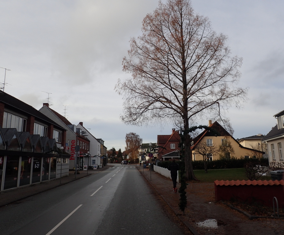 Holger Danske Strandvejs Marathon 2016 - Tor Rnnow