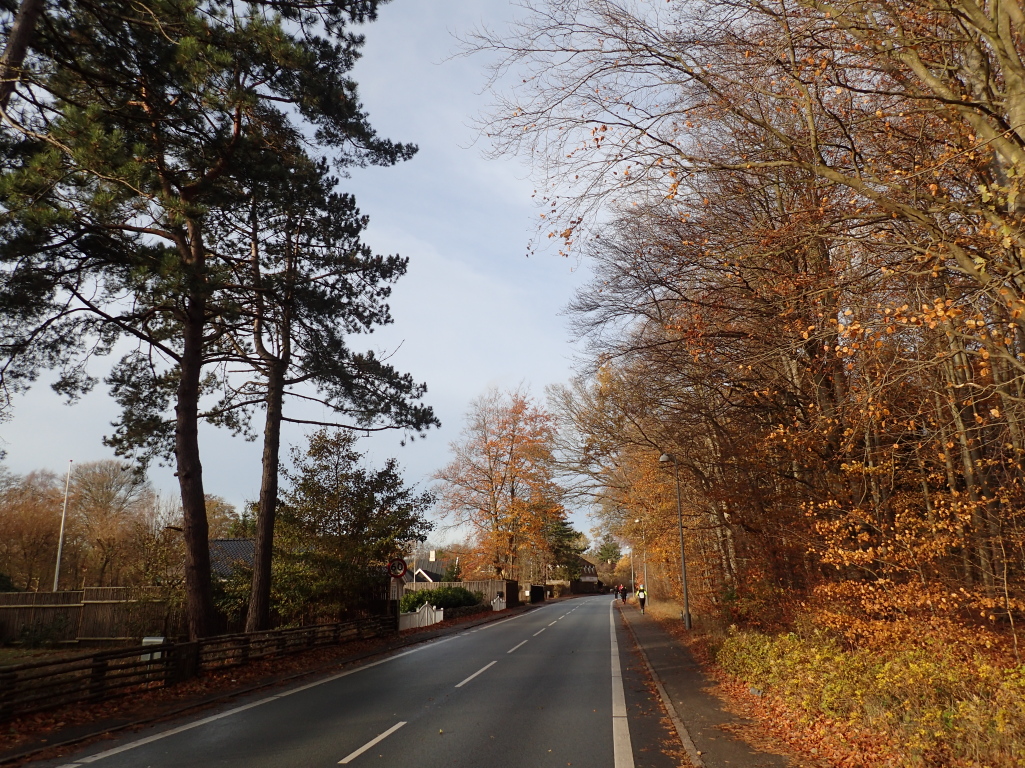 Holger Danske Strandvejs Marathon 2016 - Tor Rnnow