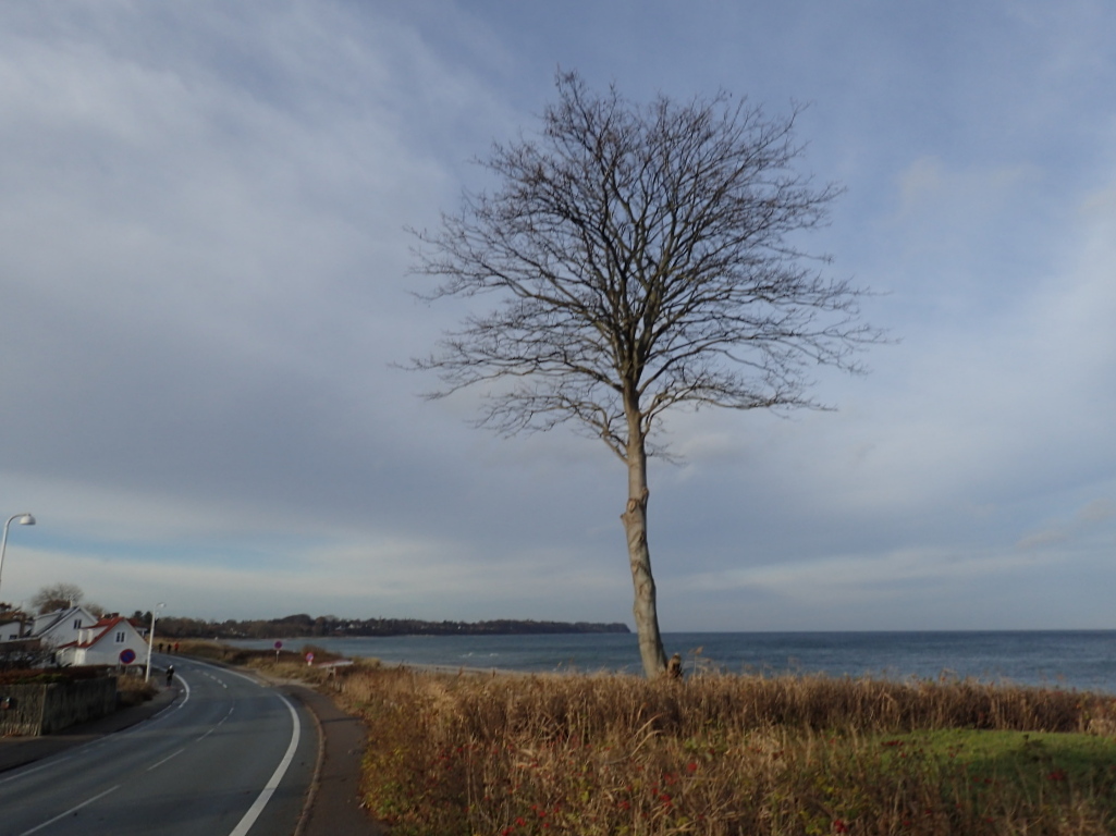 Holger Danske Strandvejs Marathon 2016 - Tor Rnnow