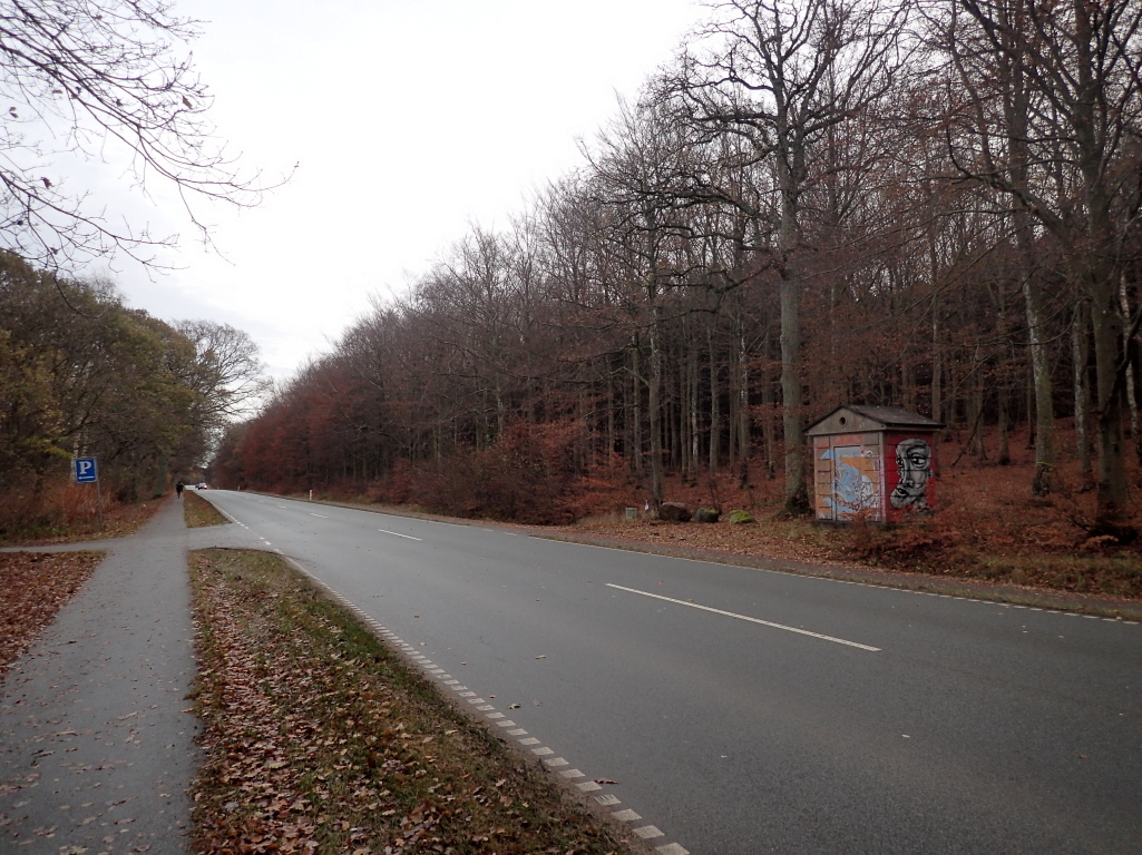 Holger Danske Strandvejs Marathon 2016 - Tor Rnnow