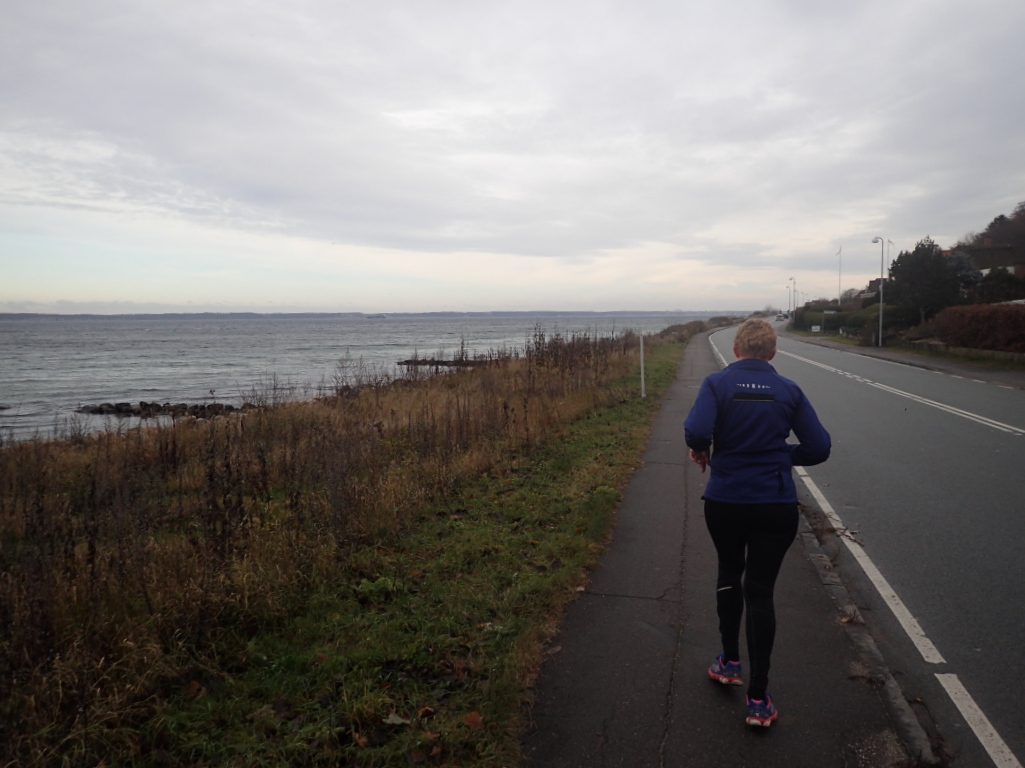 Holger Danske Strandvejs Marathon 2016 - Tor Rnnow