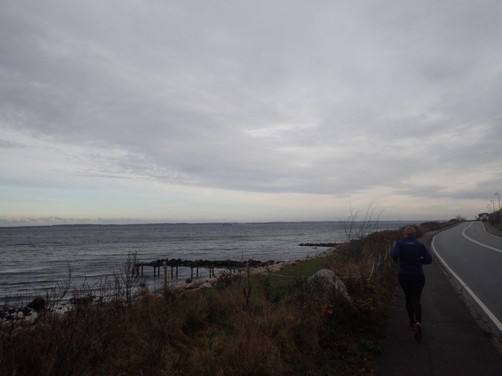 Holger Danske Strandvejs Marathon 2016 - Tor Rnnow