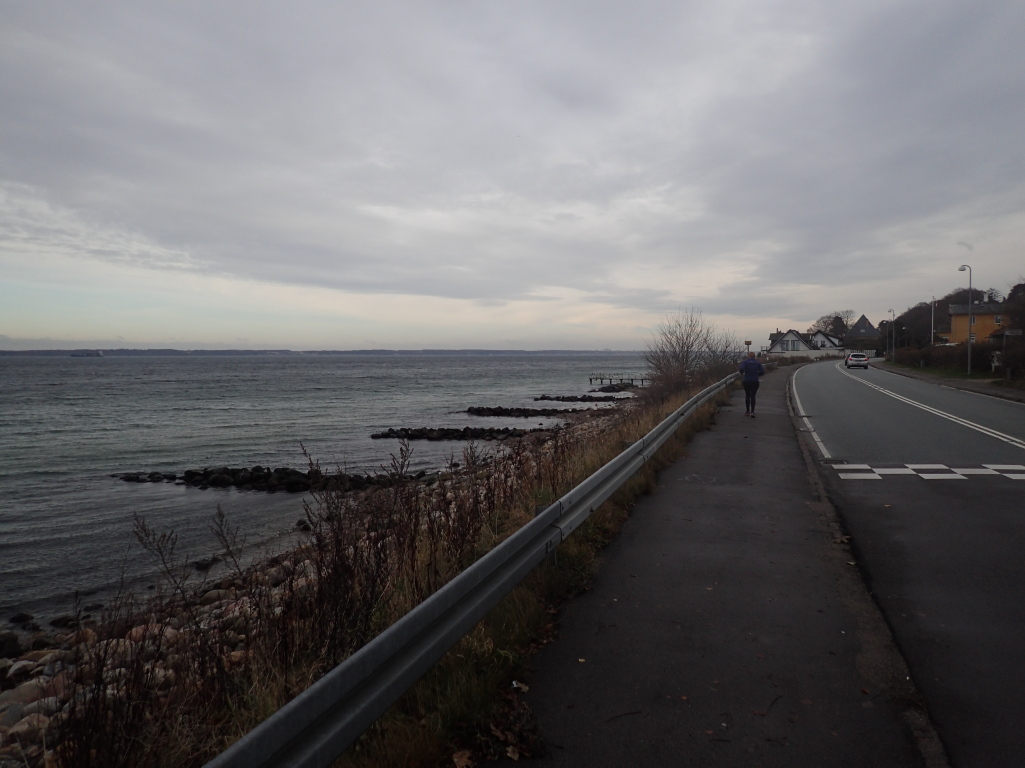 Holger Danske Strandvejs Marathon 2016 - Tor Rnnow