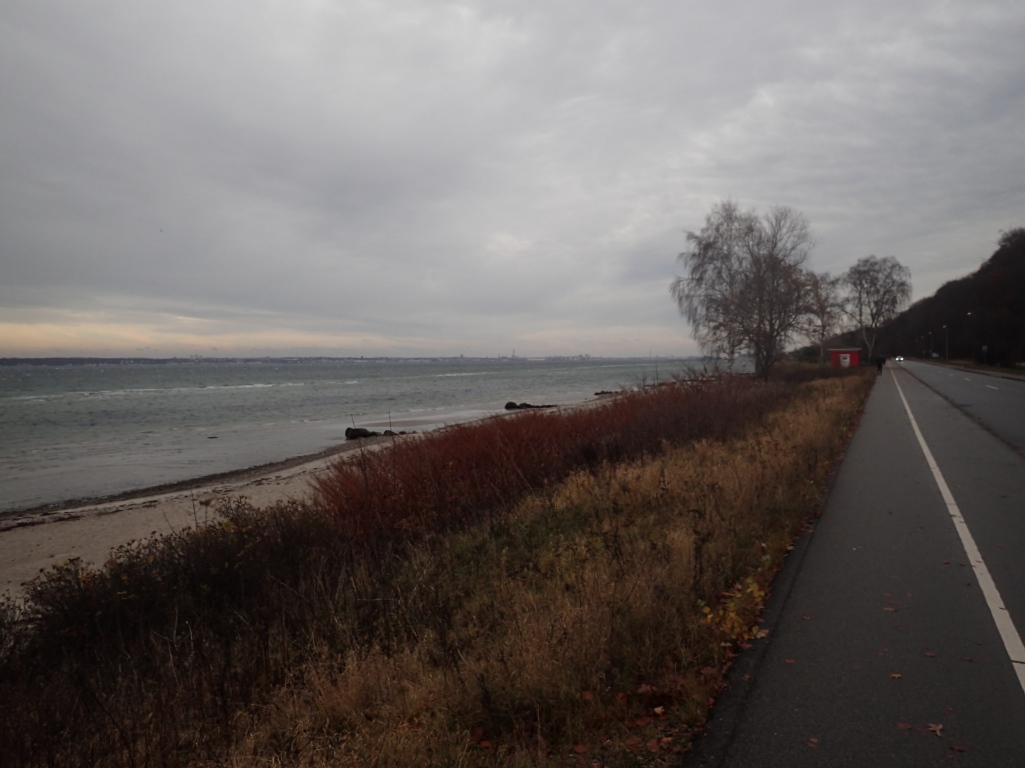 Holger Danske Strandvejs Marathon 2016 - Tor Rnnow