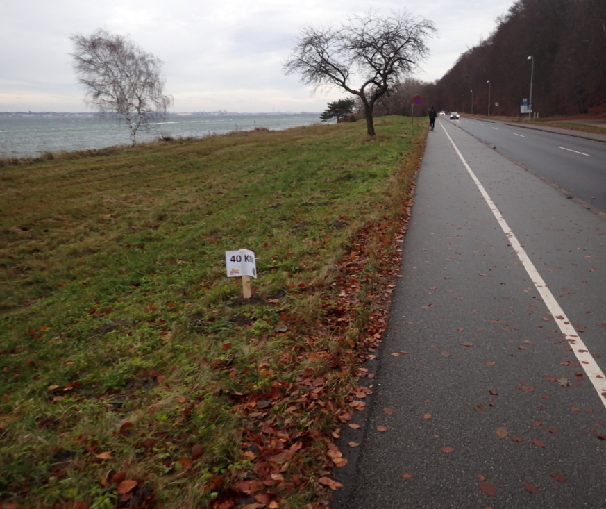 Holger Danske Strandvejs Marathon 2016 - Tor Rnnow