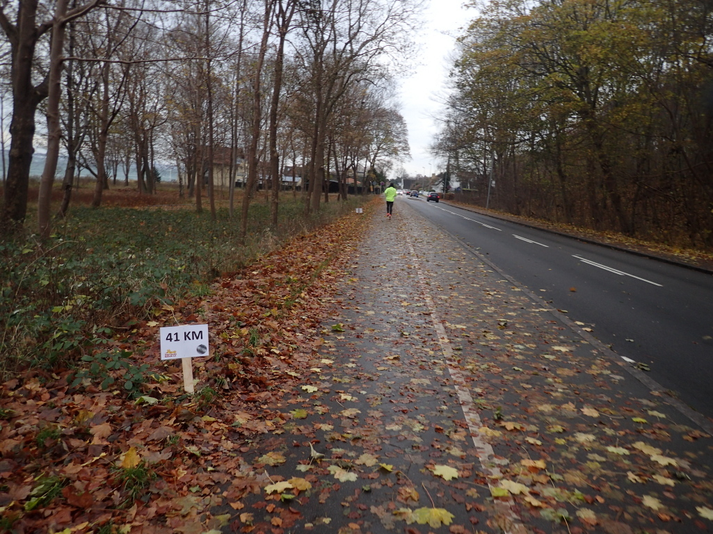 Holger Danske Strandvejs Marathon 2016 - Tor Rnnow