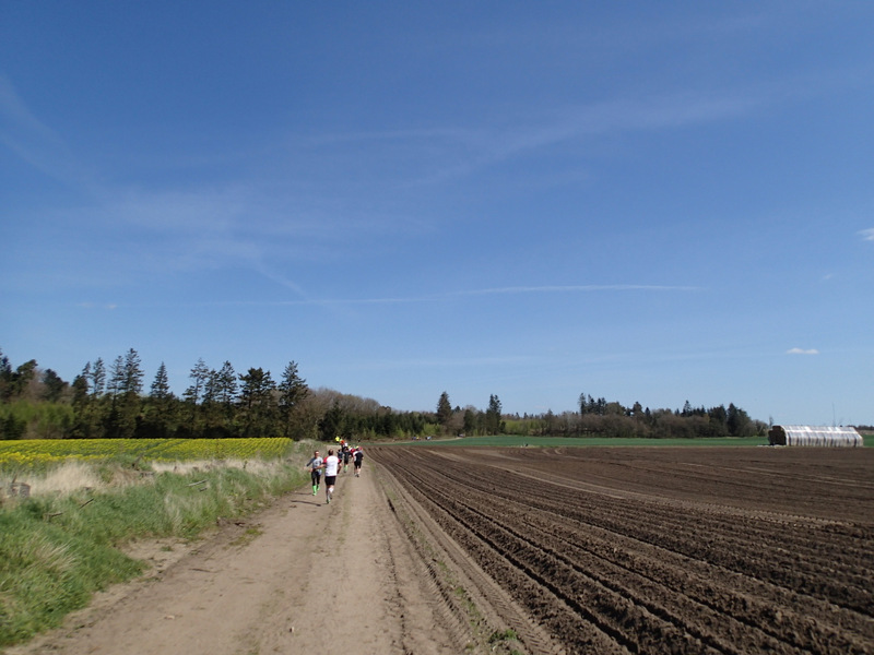 Kalkmine Marathon 2016