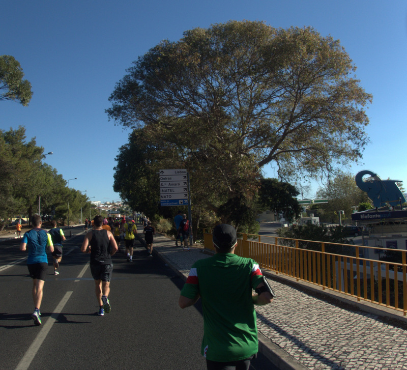 Lisbon Marathon 2016 - Tor Rnnow