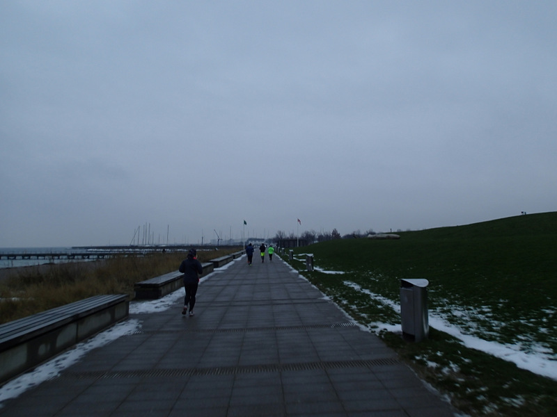 -Marathon 09 januar 2016 - Tor Rnnow