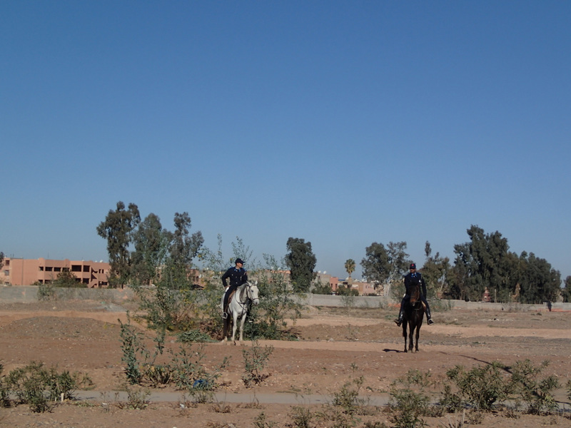 Marrakech Marathon 2016