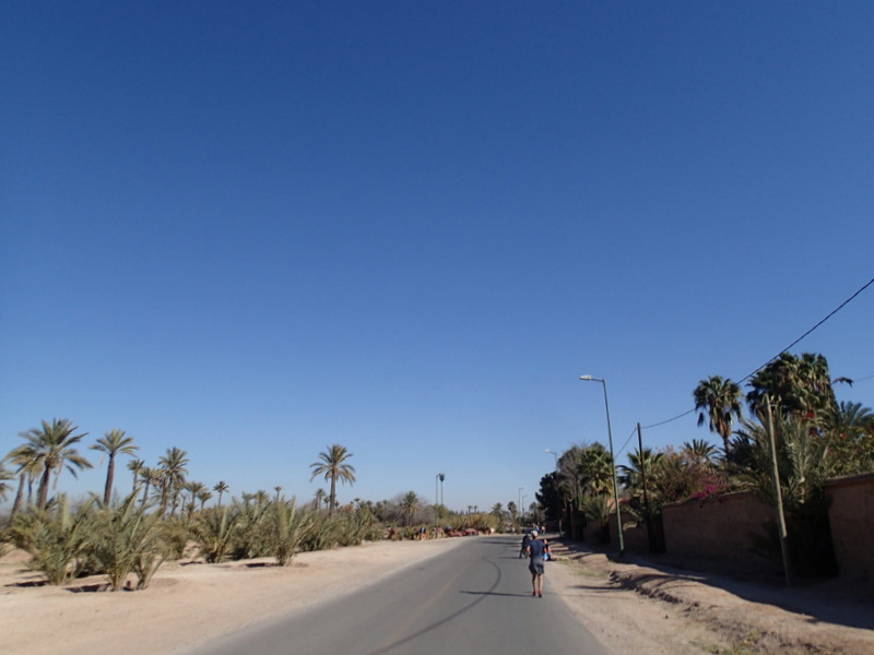 Marrakech Marathon 2016