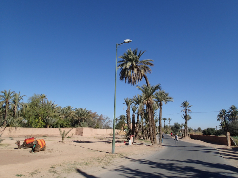 Marrakech Marathon 2016