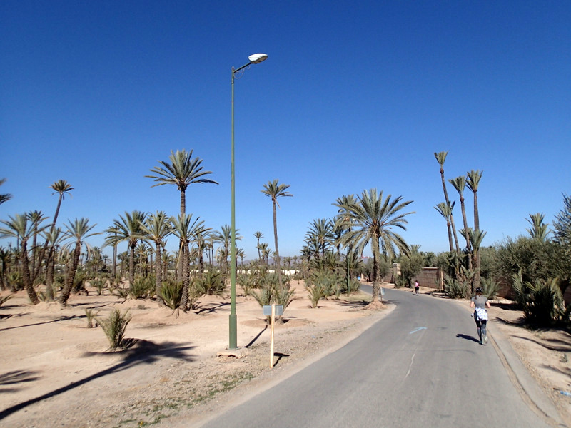 Marrakech Marathon 2016