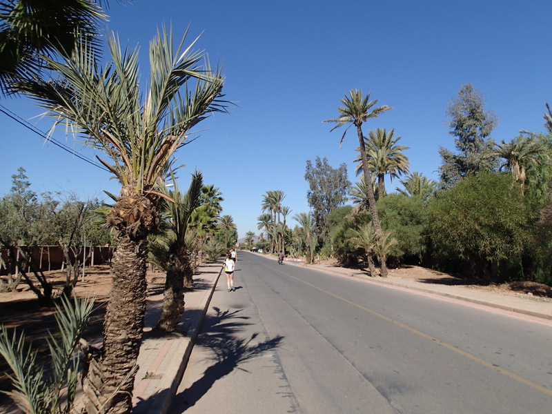 Marrakech Marathon 2016