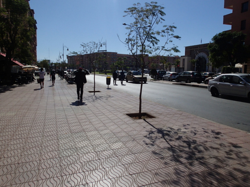 Marrakech Marathon 2016