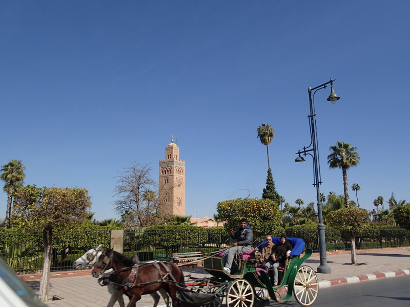 Marrakech Marathon 2016