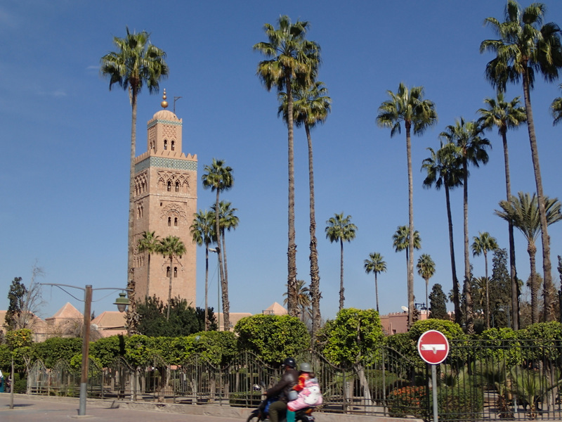 Marrakech Marathon 2016