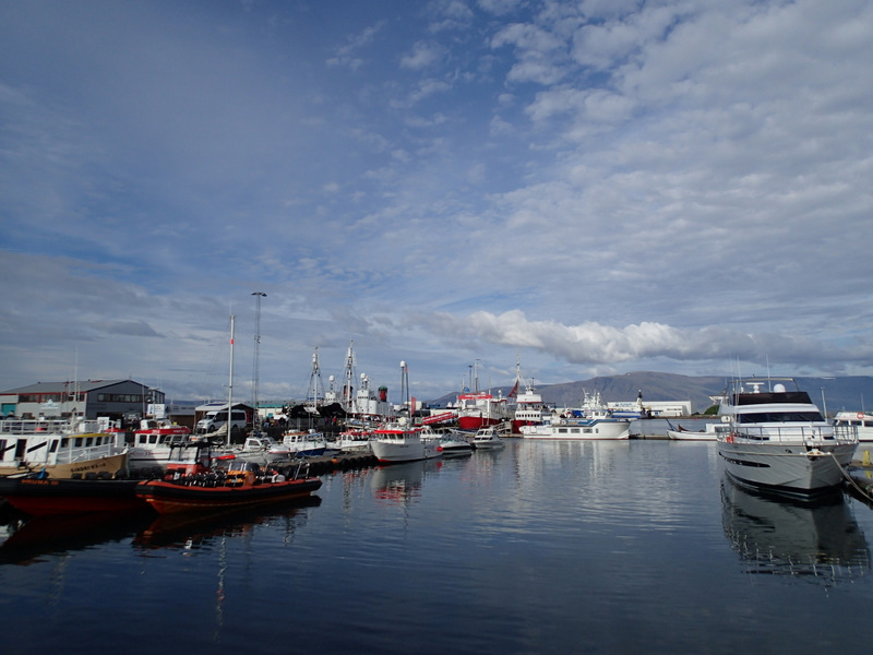 Reykjavik Marathon 2016 - Tor Rnnow