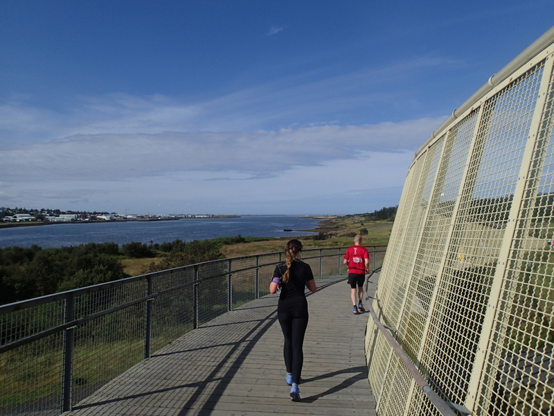 Reykjavik Marathon 2016 - Tor Rnnow