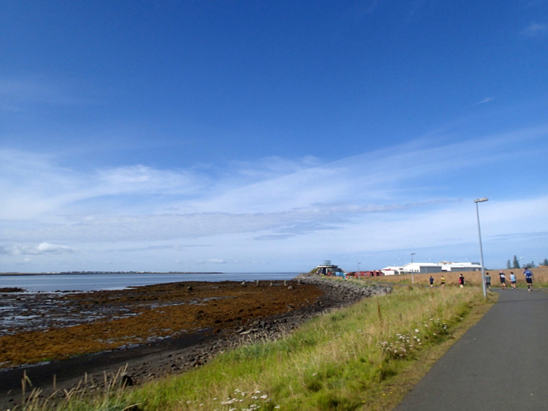 Reykjavik Marathon 2016 - Tor Rnnow