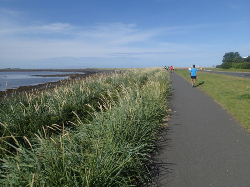 Reykjavik Marathon 2016 - Tor Rnnow