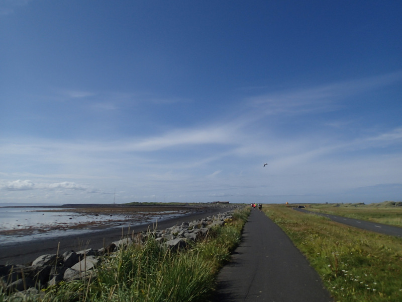 Reykjavik Marathon 2016 - Tor Rnnow