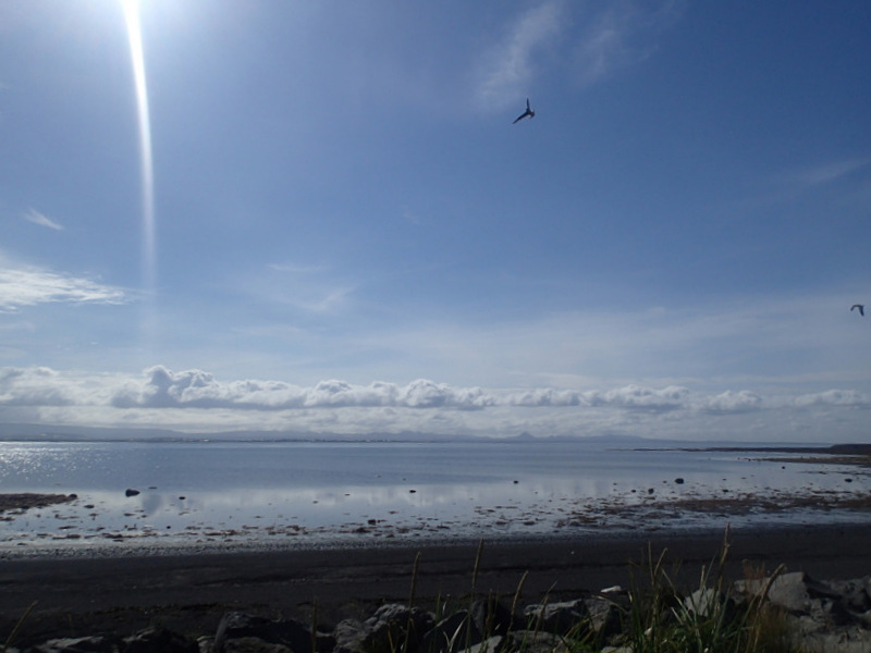 Reykjavik Marathon 2016 - Tor Rnnow