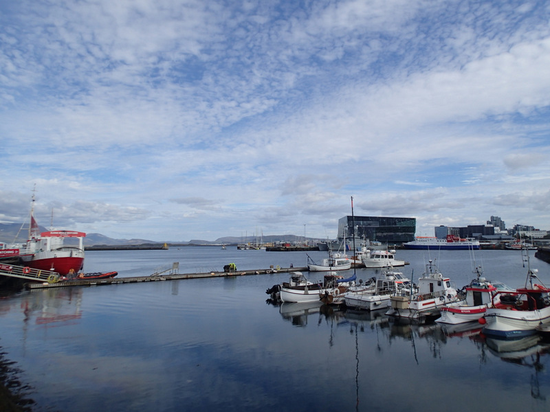 Reykjavik Marathon 2016 - Tor Rnnow