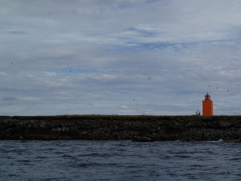 Reykjavik Marathon 2016 - Tor Rnnow