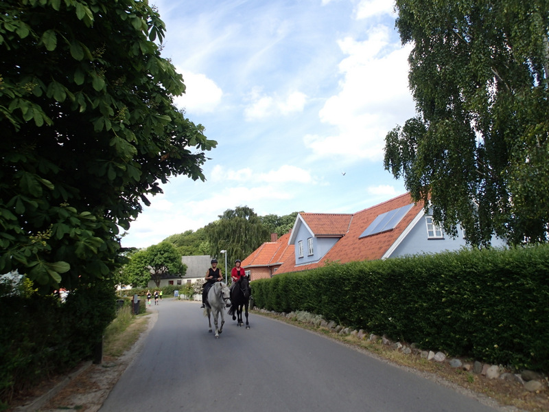 Storeblt Naturmaraton 2016 - Tor Rnnow