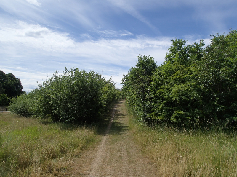 Storeblt Naturmaraton 2016 - Tor Rnnow