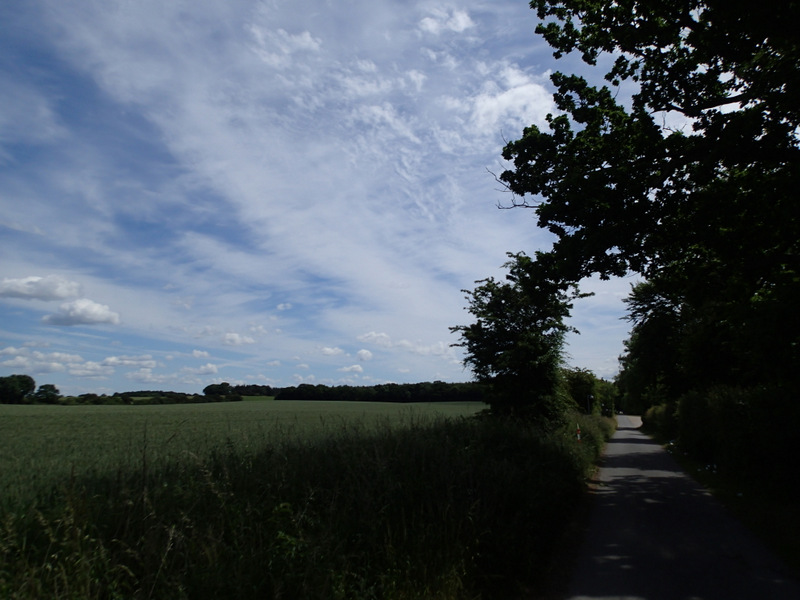 Storeblt Naturmaraton 2016 - Tor Rnnow