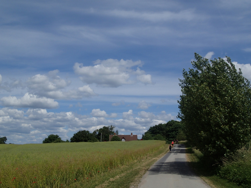 Storeblt Naturmaraton 2016 - Tor Rnnow