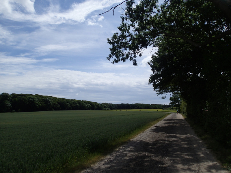 Storeblt Naturmaraton 2016 - Tor Rnnow