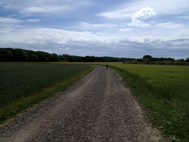 Storeblt Naturmaraton 2016 - Tor Rnnow