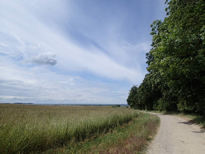 Storeblt Naturmaraton 2016 - Tor Rnnow