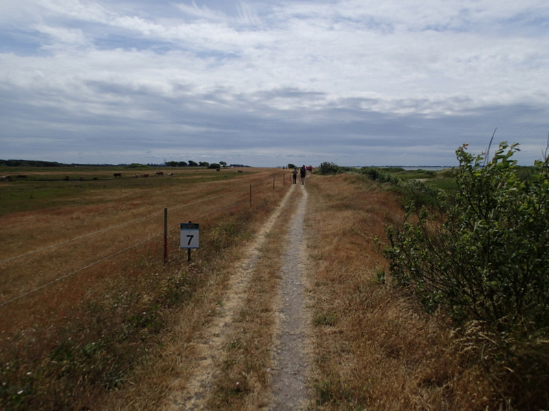 Storeblt Naturmaraton 2016 - Tor Rnnow