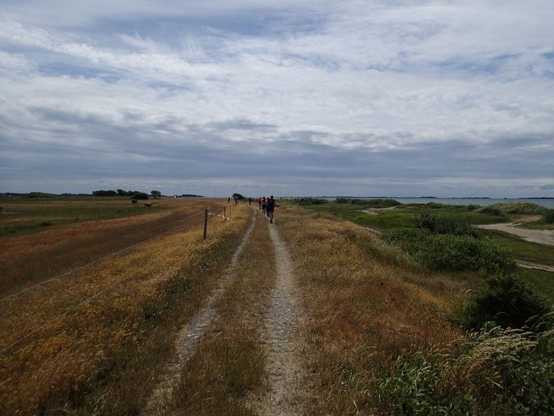 Storeblt Naturmaraton 2016 - Tor Rnnow