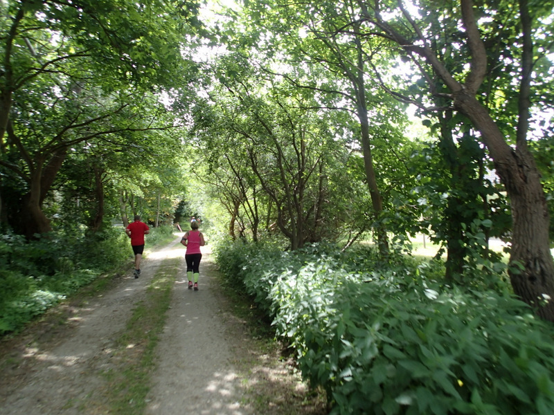 Storeblt Naturmaraton 2016 - Tor Rnnow