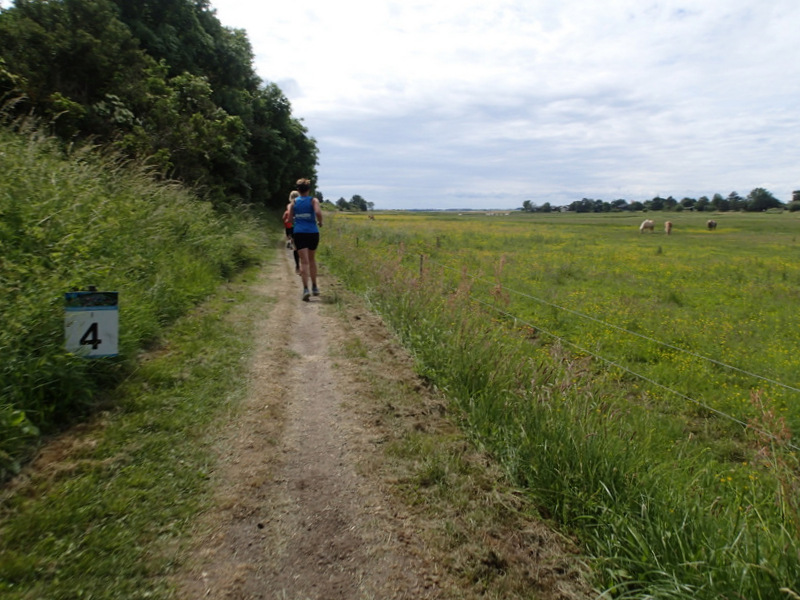 Storeblt Naturmaraton 2016 - Tor Rnnow