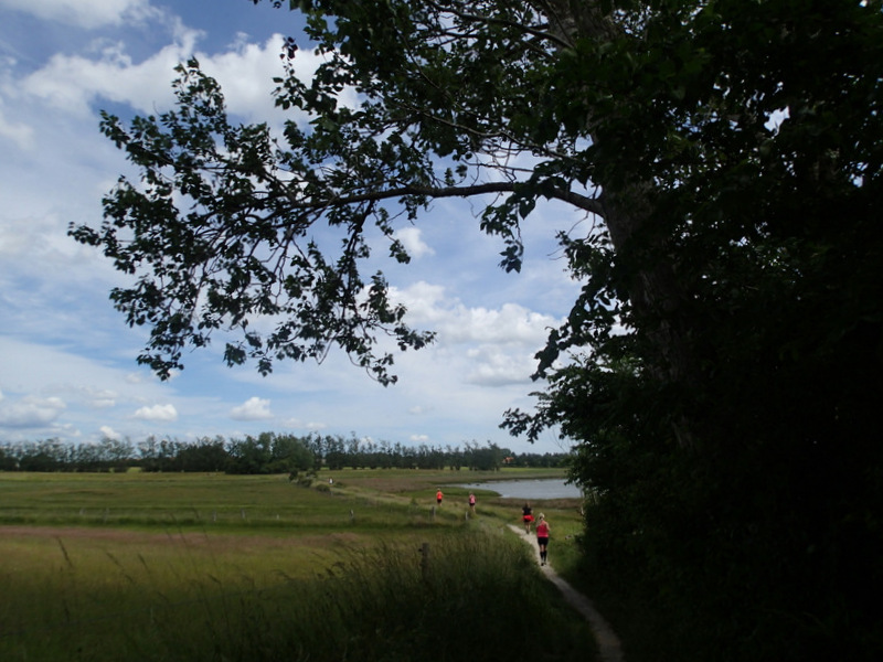 Storeblt Naturmaraton 2016 - Tor Rnnow