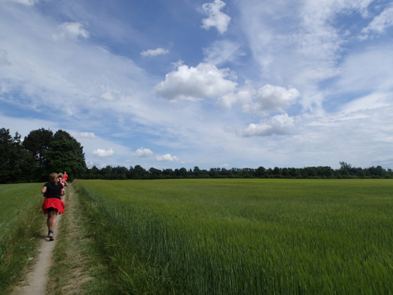 Storeblt Naturmaraton 2016 - Tor Rnnow